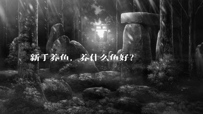 新手养鱼，养什么鱼好？