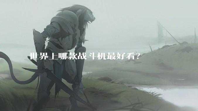 世界上哪款战斗机最好看？